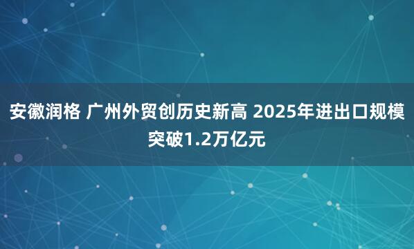 安徽润格 广州外贸创历史新高 2025年进出口规模突破1.2万亿元